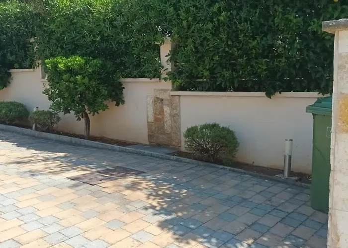 Maya Dalmatia